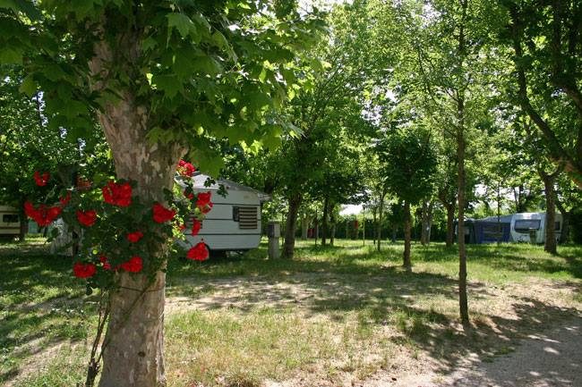 Camping Campeggio Villaggio delle rose gatteo mare rimini piazzole camper caravan roulotte tenda.jpg