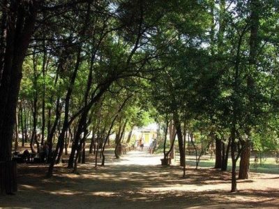 Camping-campeggio-Adriatico-Pineralla-Cervia-Riviera-Romagnola-Rimini-Pineta.jpg