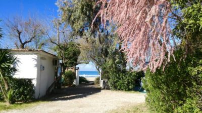 camping-villaggio-dei-pini-paestum.jpg