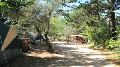 Blucamp-camping-campiglia-marittima-maremma-livorno-piazzole.jpg