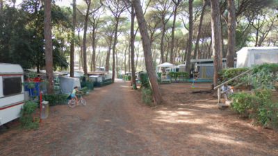 Continental-camping-marina-di-castagneto-donoratico-piazzole.png