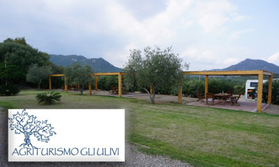 Agricampeggio ulivi cala sinzias
