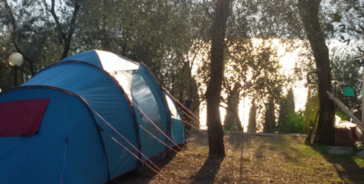 Le-major-camping-castelletto-brenzone-lago-di-garda-piazzole.png