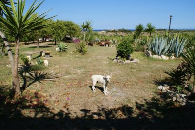 agricampeggio-da-vinci-noto-vendicari-veduta.jpg