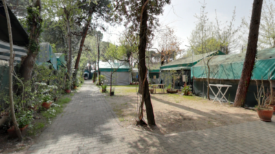 Casone-parco-vacanze-camping-marina-di-massa-carrara-versilia-piazzole.png