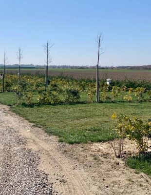 Agricampeggio Nonno Mario Chioggia Piazzole Camper.jpg