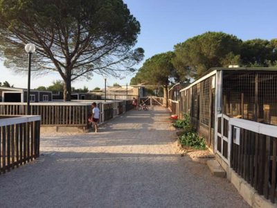 agriturismo zio zac.jpg