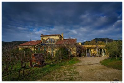 Orti-di-mare-il-casale-capoliveri-isola-elba.jpg