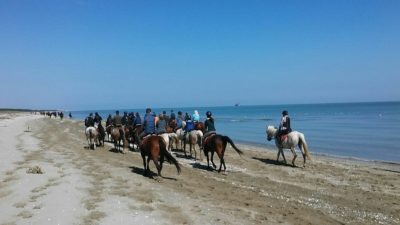 Agricampeggio Cà Marina Valentini.jpg