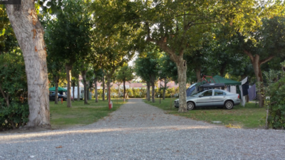 Taimi-camping-marina-di-massa-carrara-partaccia-piazzole.png