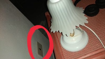 IMG_20190806_092050_671.jpg