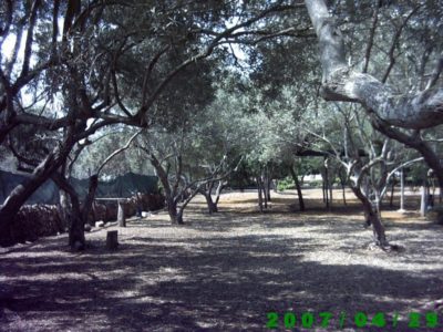 agriturismo-mediterraneo-piazzole-agricampeggio.jpg