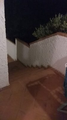 IMG_20190806_092059_281.jpg
