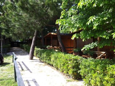 Camping-campeggio-Zadina-Cesenatico-riviera-romagnola-romagna-bungalow.jpg