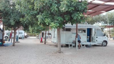 agricapmeggio-le-radici-porto-cesareo.jpg