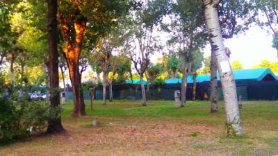 Nuovo-camping-marina-di-massa-partaccia-carrara-versilia-piazzole.png