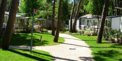 dei-fiori-camping-village-cavallino-treporti-venezia-bungalow.png
