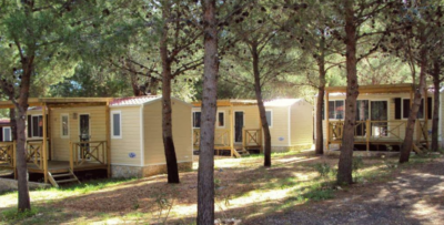 lama-le-canne-camping-bungalow-mattinata.png