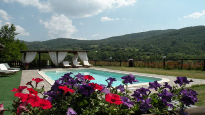 Ginepro-il-fattoria-agriturismo-agrisosta-talla-angoia-pisicna.jpg