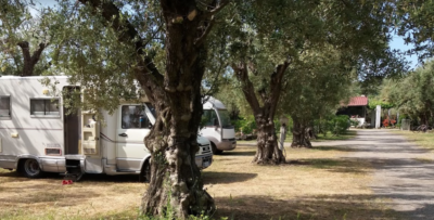 agricampeggio-agriturismo-il-maresciallo-cariati-piazzole.png
