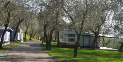 Le-major-camping-castelletto-brenzone-lago-di-garda.png