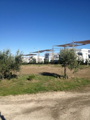 Agriturismo-tenuta-Santini-Coriano-Rimini-area-camper.jpg