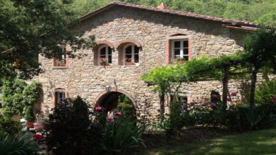 Ginepro-il-fattoria-agriturismo-agrisosta-talla-angoia.jpg