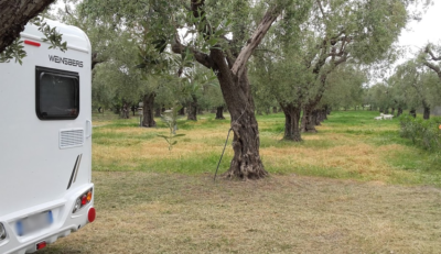 agricampeggio-agriturismo-il-maresciallo-cariati.png