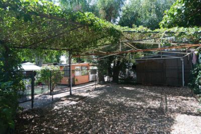 camping-residence-al-yag-acireale-piazzole.jpg