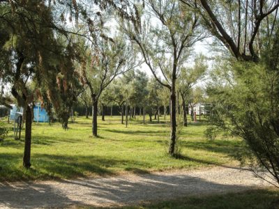 camping-maronda-montenero-di-bisaccia-piazzole.jpg