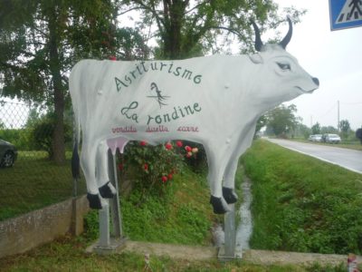 Agricampeggio-la-rondine-.jpg