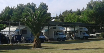 alga-blu-villaggio-sosta-camper-vieste-piazzole.png
