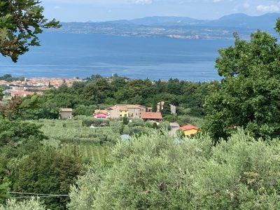 AGricampeggio La Casetta - Bardolino - Verona - panorama.jpg