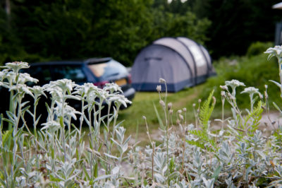 trentino-camping-montagna.jpg