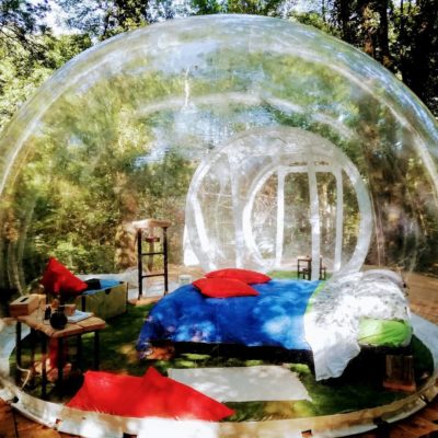 futureisnatureplayground-bolla